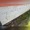 Cracks like this are a strong indicator of foundation movement. This corner had shifted enough to break through the exterior wall finish.