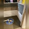 The SuperSump Sump Pump System is a reliable and efficient solution for keeping basements dry. Equipped with a powerful pump, a durable liner, and an airtight lid to prevent odors and moisture escape, SuperSump is designed for long-term performance. It's perfect for homeowners looking for peace of...