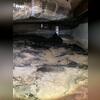 During the crawl space inspection, mud is visible on the vapor barrier and water lines on the concrete block wall. This is a customer the had crawl spacks jacks installed a few years ago to support the structure. Now they are ready to fully encapsulate the crawl space.