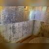 This is a photo our Inspector took upon the initial visit. The walls were seemingly sweating, the baseboards were rotted, and the carpet was musty.