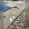 Pea-sized holes are drilled into the concrete.