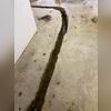 The team will strategically lay the pipes at the lowest point. Sometimes this is in the middle of the floor, but most often it is on the perimeter.