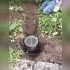 LawnScape is a specially designed outlet system placed at the end of a buried sump pump discharge line or downspout extension. It disperses water far from your foundation while hiding the pipe's end beneath a subtle, green‑tinted grate. This design blends into landscaping, eliminates tripping...