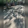 PolyLevel concrete injections together with NexusPro crack and joint sealant has this driveway stabilized and protected for years to come.