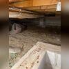 The unsealed crawl space in Cook, MN shows clear signs of rodent presence and unprotected soil, contributing to poor insulation and unhealthy air conditions in the home.