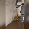 The signs of moisture and stress were clear-this space needed help.