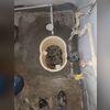 We installed our TripleSafe Sump Pump by first excavating a pit at the lowest point of the basement to ensure proper water collection. Next, we set the durable sump liner and installed three pumps inside, each with a specific role for increasing protection. After connecting the discharge line, we...