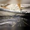 This crawl space was the perfect home for rodents to thrive. It was dark, moist and the fiberglass insulation is perfect for nesting.