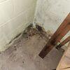 This photo reveals clear signs of moisture intrusion in the basement, including visible dirt buildup, wall discoloration, and damp surfaces. These conditions not only point to ongoing water issues but also create an ideal environment for mold growth, musty odors, and potential structural damage if...