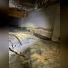 This crawl space was very wet. The old vapor barrier wasn't preventing moisture from coming in to the space.