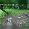 A LawnScape Outlet allows water from the discharge line to safely exit away from the home-helping keep the foundation dry
