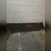 WaterGuard is a patented interior basement drainage system designed to effectively capture water seepage at the wall-floor joint before it reaches your basement floor. Installed just below the surface, it directs water to a sump pump system, keeping the basement dry without the mess of traditional...