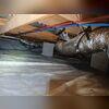 This crawl space is musty and has moisture issues. You can see the water seeping through the concrete block wall and old water stains on the vapor barrier.