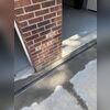 To further protect the home from future water intrusion, we installed a TrenchDrain at the garage entrance. This system captures surface water before it can enter the home, redirecting it away from the foundation and interior slab. Set neatly into freshly poured concrete, the drain blends into the...