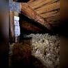 old insulation