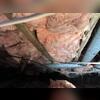 The beams in this crawl space needed some extra support.