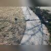 Concrete settlement around this homeowner's sidewalk was likely caused by soil erosion, poor compaction during construction, water drainage issues, or expansive clay soils that shift with moisture changes. These factors create voids beneath the concrete, leading to uneven sinking over time.