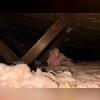 Pest droppings, dirt and other debris was creating a messy attic space.