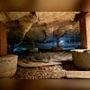 Nasty, dark, damp, unprotected crawl space.