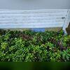 To properly seal and protect the now-encapsulated crawl space, our team installed vent covers for each vent and entrance.