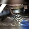 This crawl space had fiberglass drooping down from the floor joists, framing damage, and it emitted musty smells throughout the home.