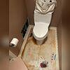 The water damage originated in the master bathroom. The water quickly spread throughout the home. Our mitigation team was the first to arrive, promptly identifying the source of the leak and beginning the drying process. To prevent further damage and mold growth, we used high-powered air movers and...