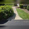 This sidewalk looks more uniform thanks to a couple hours and our PolyLevel foam & our NexusPro sealant.