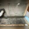 WaterGuard is installed along the perimeter of the basement floor and covered in fresh concrete to provide a seamless finished look. The WaterGuard Port is left visible to provide access to the system when needed.