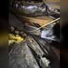 This crawl space was wet, dirty, and gross. It definitely needed some attention.