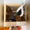 Consultation in Easton - From Mold to Moisture Control
