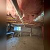 Orange, CT - Dual-Pipe Radon System with Future Considerations