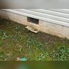 Open crawl space vents allow outside air to enter the crawl space, bringing with it mold spores and moisture.