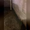 Once the drainage channels were installed, fresh concrete was poured to permanently seal the system into place. This not only restores the basement floor's appearance but also ensures the drainage line remains protected and effective. Now, water entering the basement is captured and directed safely...