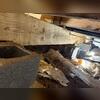 This crawl space was a tight squeeze, but we were happy to help waterproof this space for the homeowner!