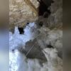This current insulation was not rotted or ruined, but definitely needed more added on top to create a more functional attic.