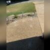 Eliminates tripping hazards by leveling uneven slabs and stabilizing the structure.