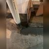 WaterGuard&reg; Ports allow for simple inspections and maintenance without any disruptive digging.
