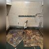 Laying the groundwork for a healthier basement.