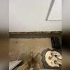 Our crew began by excavating a trench along the perimeter of the basement floor to install our WaterGuard Drainage System, specially designed to sit above the footing and capture water seepage before it reaches the living space. After placing the system and covering it with clean stone, we poured...