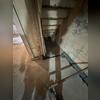 Here you can see where the crew began jackhammering underneath the stairs to make room for the WaterGuard System that has to get installed. WaterGuard is installed along the wall and collects any water that seeps through because of the wall flange that extends up the wall to 3/8".
