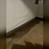 CleanSpace is a durable, waterproof vapor barrier designed to keep basements and crawl spaces dry, clean, and free from moisture-related issues. Installed along walls or floors, it seals out humidity, water vapor, and musty odors, transforming damp, uninviting areas into bright, usable spaces. ...
