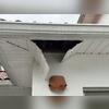 The yellow jackets nest was so heavy, the weight of it broke the soffit.