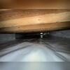 Our CleanSpace system isolates the crawl space from the ground, keeping moisture and pests at bay and allowing homeowners to use their crawl space for storage and other needs.
