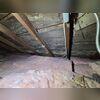 It's no secret mice love fiberglass insulation. This attic had a lot of issues, step one is to clear out the old insulation to expose the entire floor.