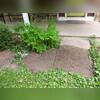 The before photo shows just how much these East Moline, IL concrete slabs had settled over time, creating a serious safety issue and hindering smooth winter shoveling.