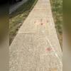 After our team's work, this Coralville, IA homeowner now has a safe and level sidewalk. The after photo highlights the successful use of our PolyLevel System to lift and restore the concrete slabs. By precisely injecting a high-density foam, we eliminated the tripping hazard and created a uniform,...