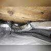 After treatment, the crawl space was fully encapsulated with a heavy-duty vapor barrier, creating a clean and dry environment.