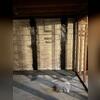 CarbonArmor straps reinforce foundation walls to prevent further cracking or bowing.