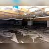 The existing liner provided little vapor barrier protection, and the crawlspace showed signs of standing water.