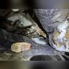 The crawl space had falling insulation, exposed ducts, and open soil, creating moisture and air quality issues.
